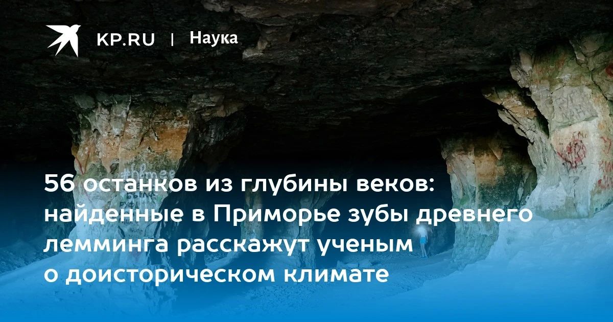 На юге Приморья нашли останки древнего лемминга