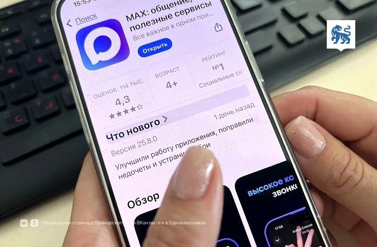 Все госуслуги Приморья теперь собраны в одном чат-боте MAX