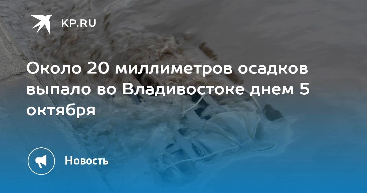 Во Владивостоке выпало 20 мм осадков