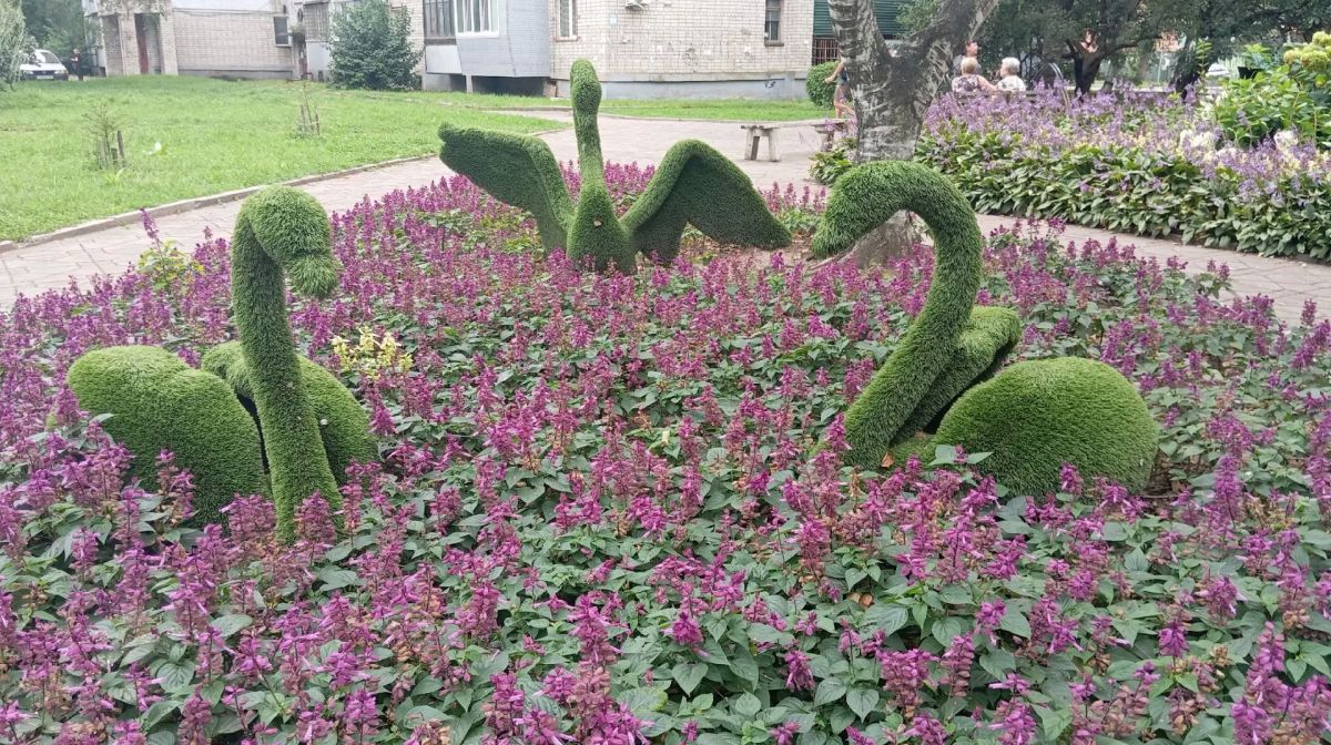 Доброе утро, Уссурийск! . Сегодня вторник, 6 октября