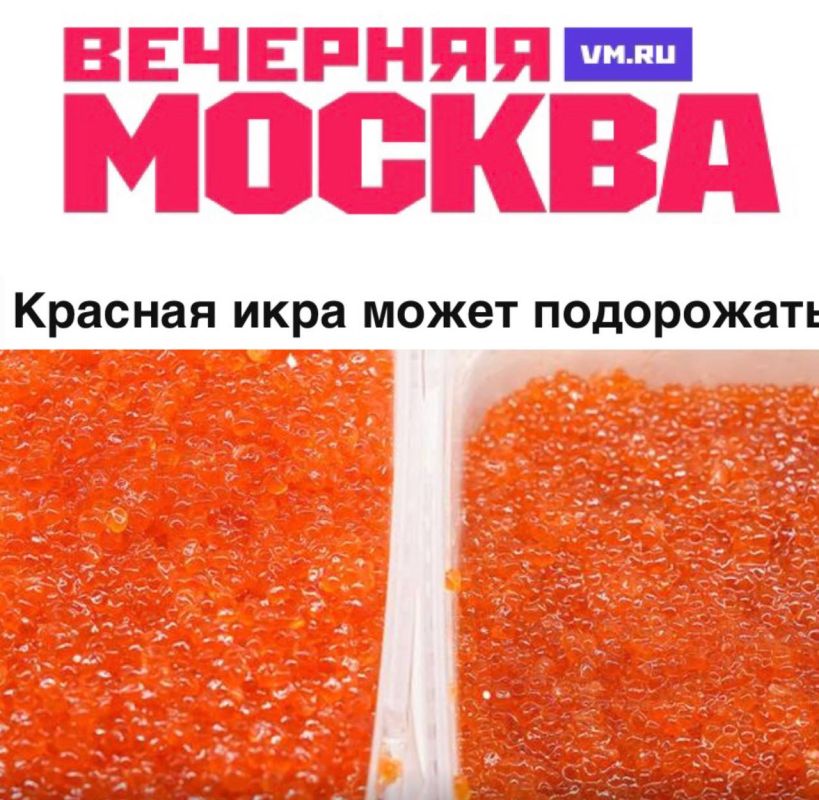 «Красная икра может подорожать до 40 тысяч рублей за килограмм из-за акул»: Дефицит лосося на Дальнем Востоке может отразиться на новогоднем столе