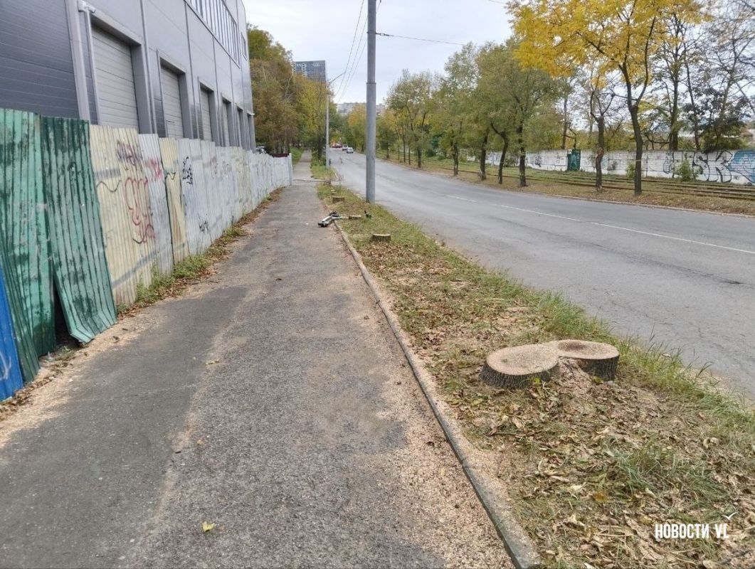 Ради новой автомойки на Борисенко срубили деревья и уничтожили тротуар Ради новой автомойки на Борисенко срубили деревья и уничтожили тротуар