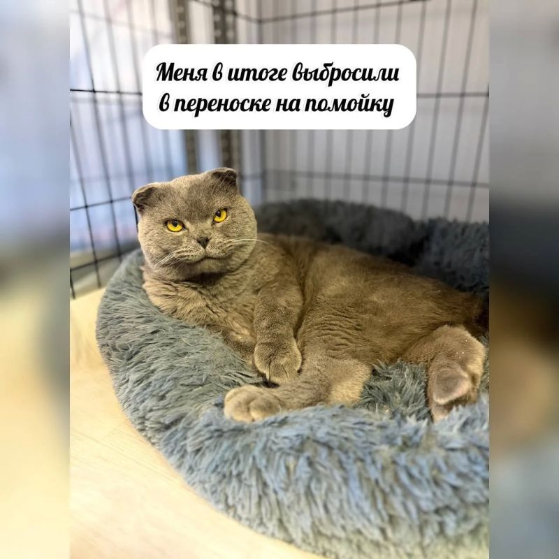 Продолжаем рубрику #Особенные_животные Продолжаем рубрику #Особенные_животные