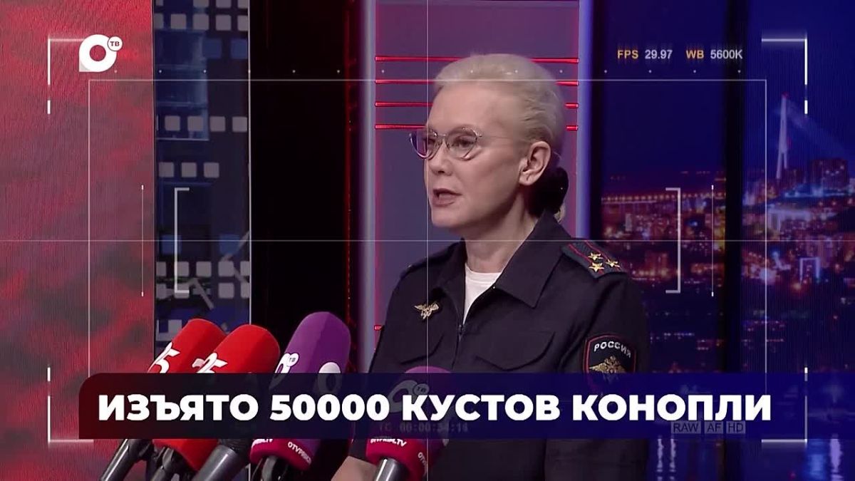 Об итогах проведения 4 этапа операции «Мак» приморцам рассказали в телеэфире