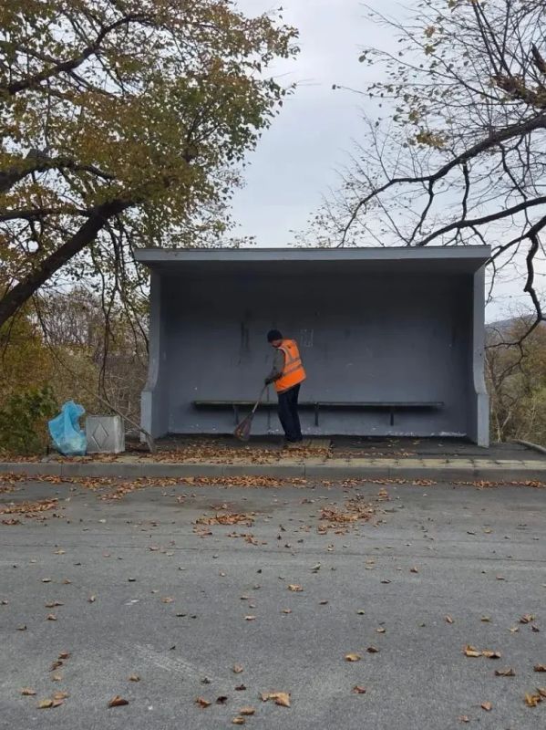 Добрый день, Владивосток! Добрый день, Владивосток!