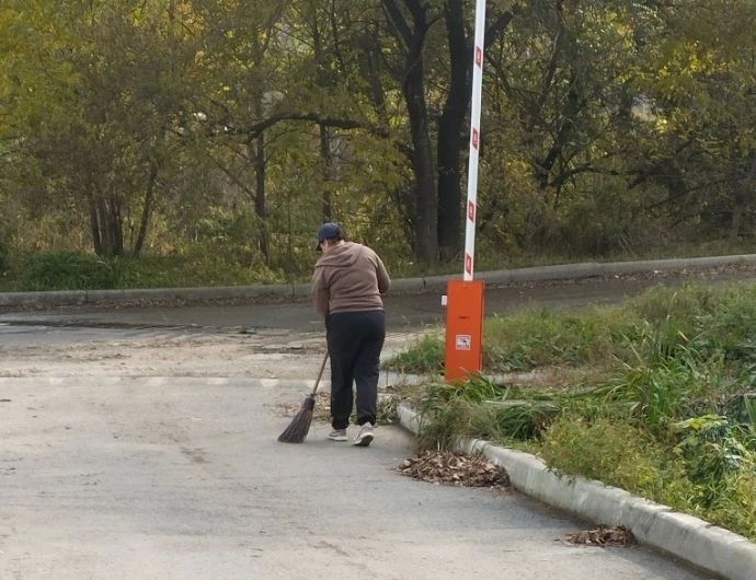 Взрослые и дети привели в порядок двор на улице Арсеньева в Находке Взрослые и дети привели в порядок двор на улице Арсеньева в Находке