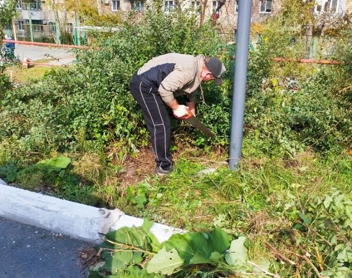 Взрослые и дети привели в порядок двор на улице Арсеньева в Находке Взрослые и дети привели в порядок двор на улице Арсеньева в Находке