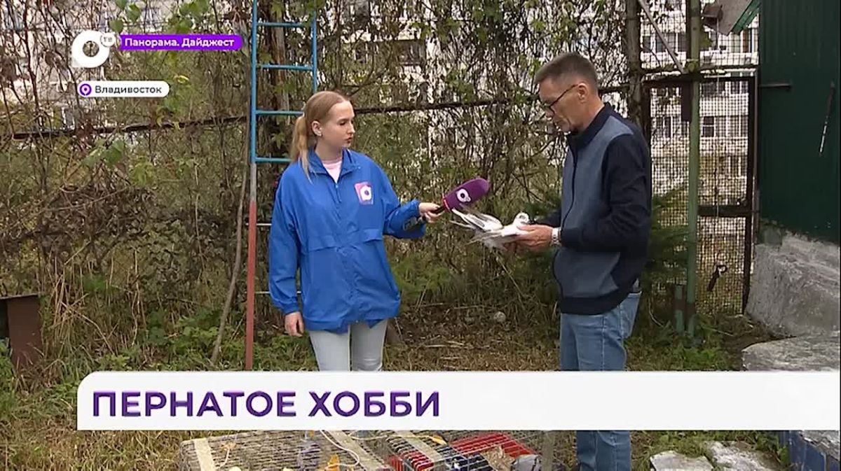 Пернатое хобби — любимое дело жителя Владивостока Олега Токарева