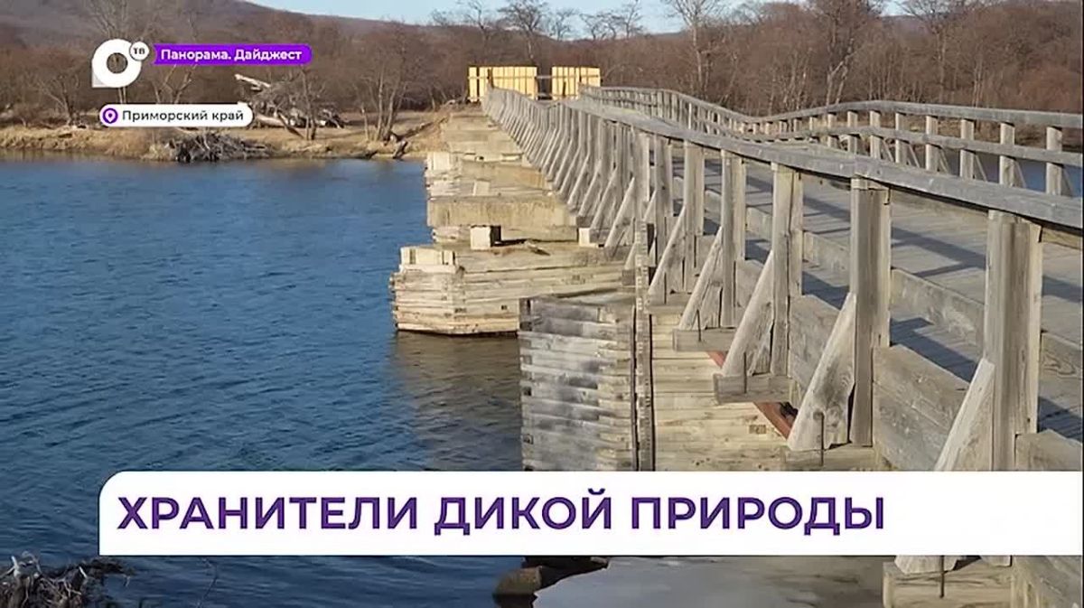 В Приморье профессиональный праздник отмечают работники заповедного дела