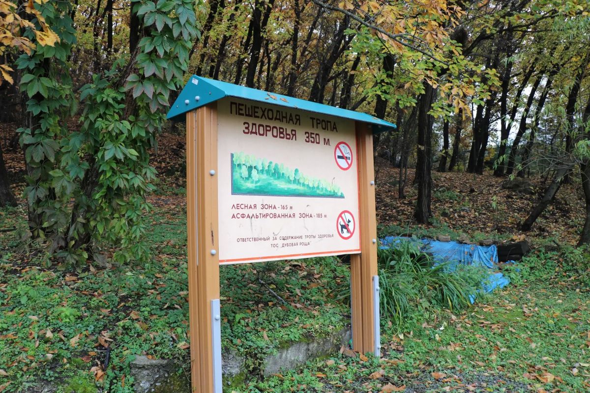 Польза для жителей: в селах округа приняты работы по проектам ТОС Польза для жителей: в селах округа приняты работы по проектам ТОС