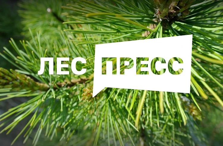 Вы журналист или блогер? Тогда примите участие в конкурсе «Лес-пресс»