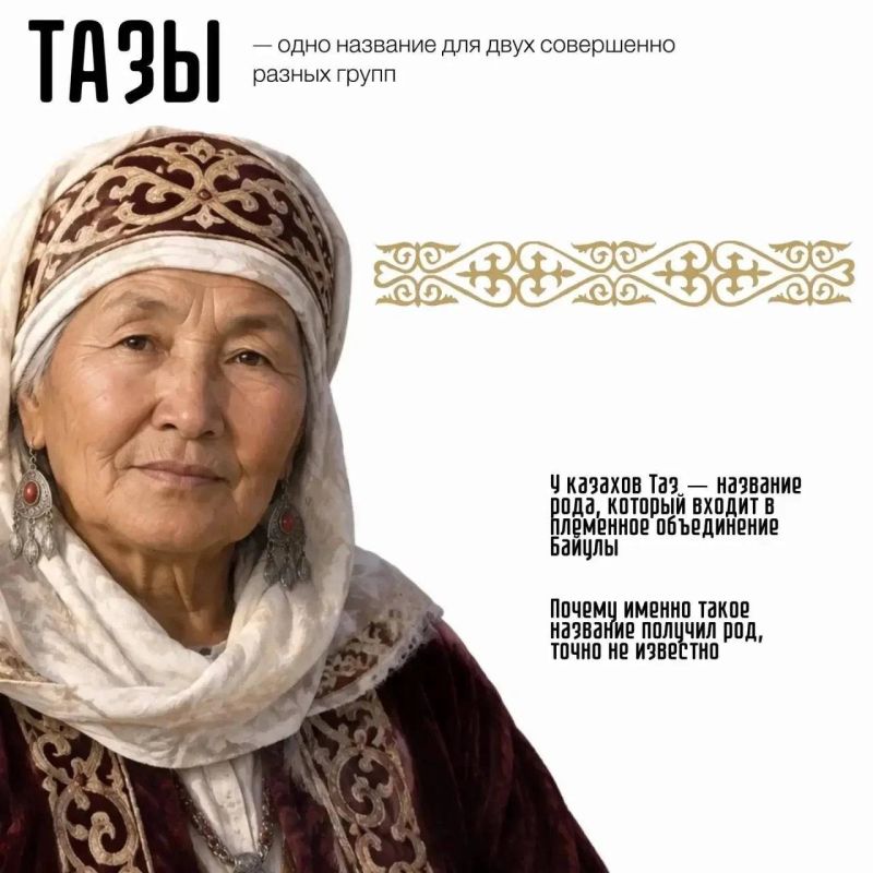 Как тазы живут сегодня — смотрите в проекте «Хранители» на ОТВ 24 октября Как тазы живут сегодня — смотрите в проекте «Хранители» на ОТВ 24 октября