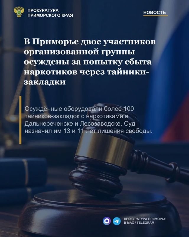 В Приморье двое участников организованной группы осуждены за попытку сбыта наркотиков через тайники-закладки