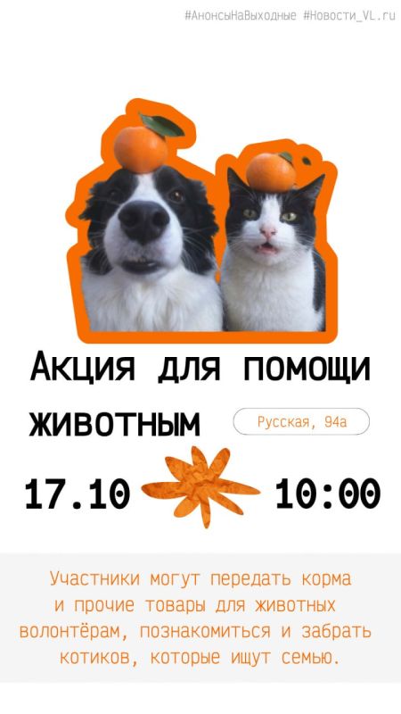 Анонсы событий во Владивостоке на выходные Анонсы событий во Владивостоке на выходные