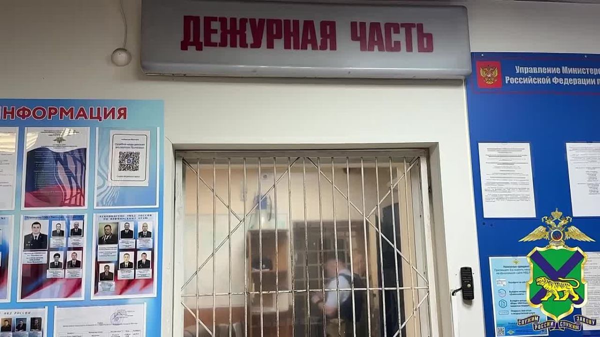 Полиция: житель Владивостока, обвиняемый в хулиганских действиях с применением оружия, заключен под стражу