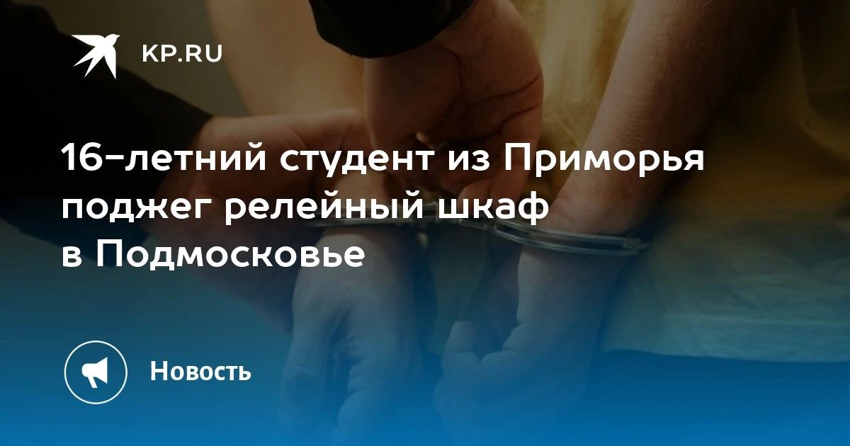 Поджог в Подмосковье: 16-летний студент из Приморья поджег релейный шкаф