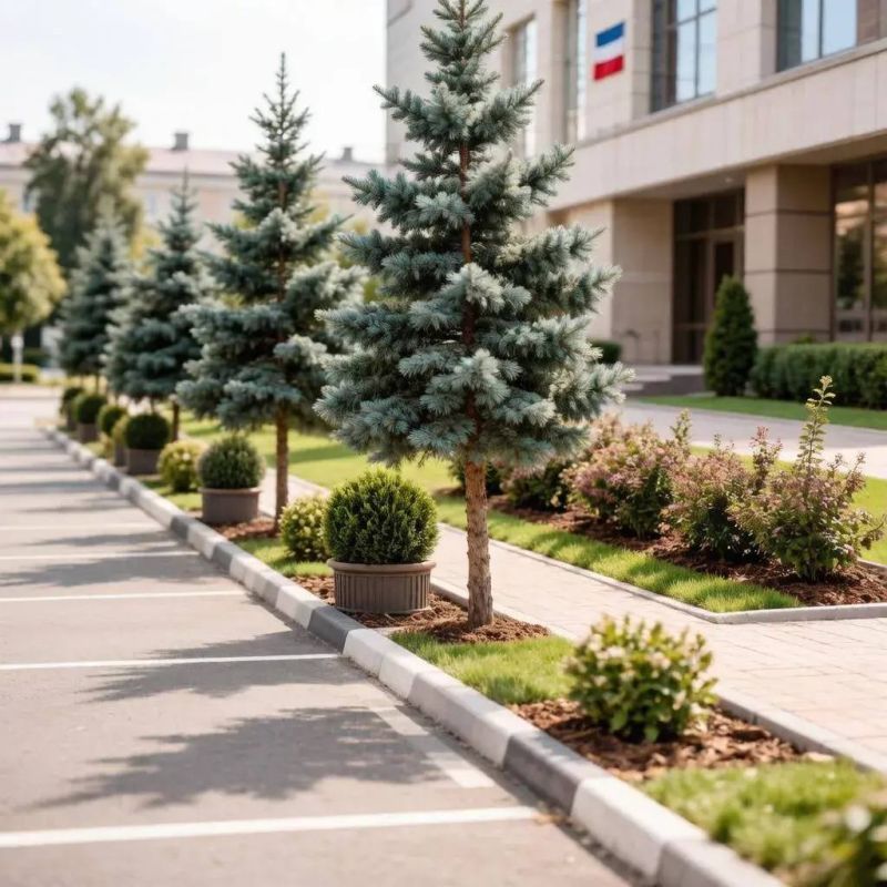 Благоустройство на Некрасова, 22: новые парковочные места и компенсационное озеленение
