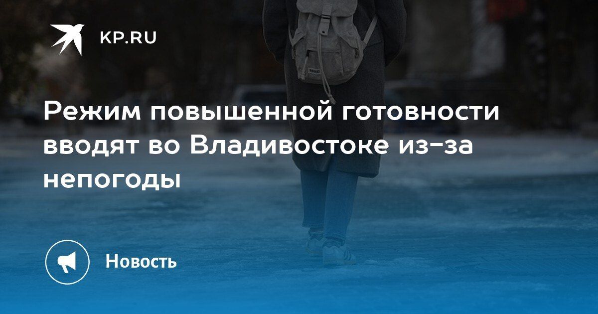 Во Владивостоке вводят режим повышенной готовности с 18:00 20 октября до 8:00 22 октября