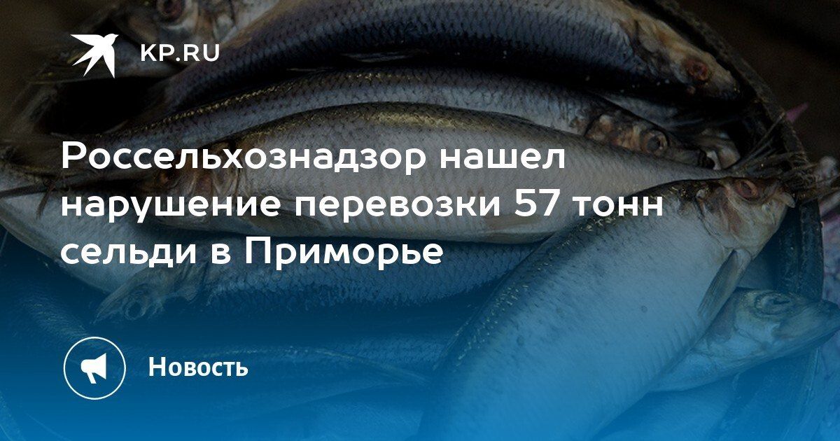Нарушение транспортировки сельди в Приморье