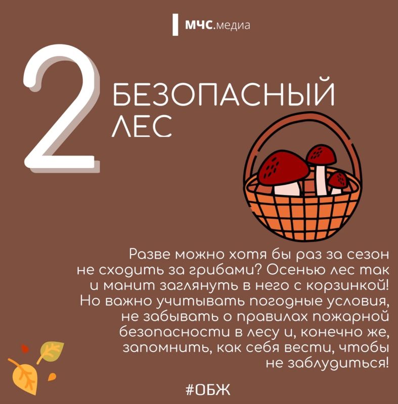 5 причин быть внимательнее этой осенью 5 причин быть внимательнее этой осенью