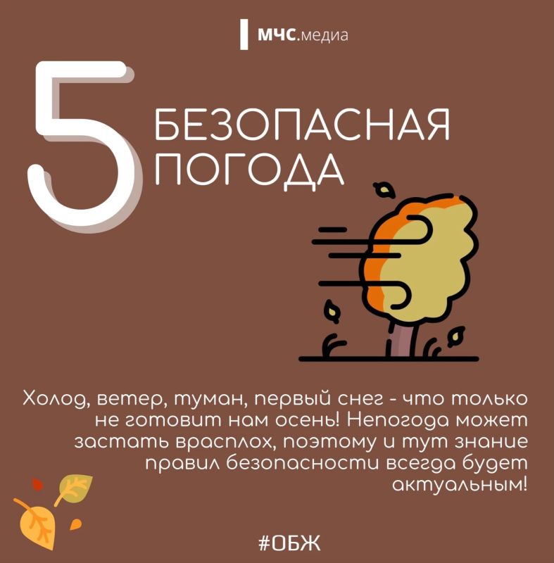 5 причин быть внимательнее этой осенью 5 причин быть внимательнее этой осенью