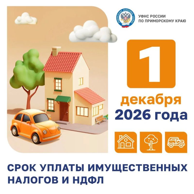 Время платить по счетам: налоги за 2025 год ждут вас до 1 декабря