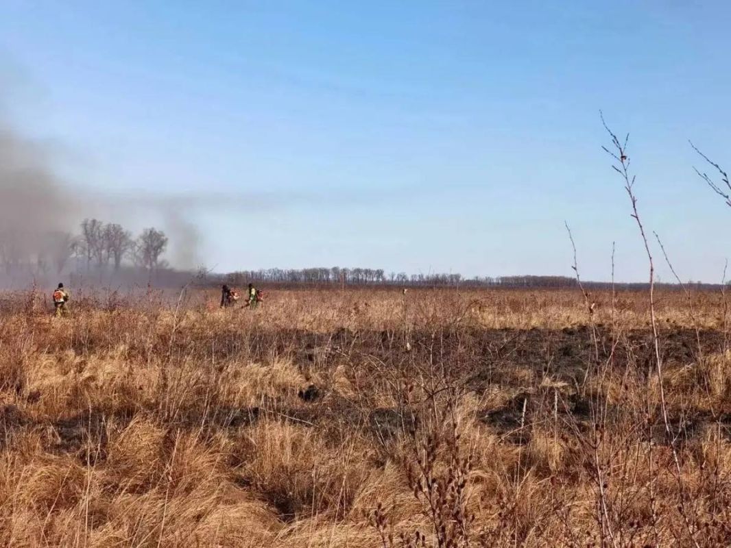 Крупный природный пожар тушат на севере Приморья Крупный природный пожар тушат на севере Приморья