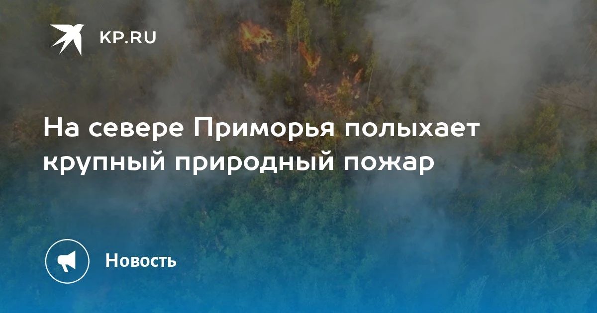 Пожар на севере Приморья. Неизвестные подожгли поле южнее Гоголевки