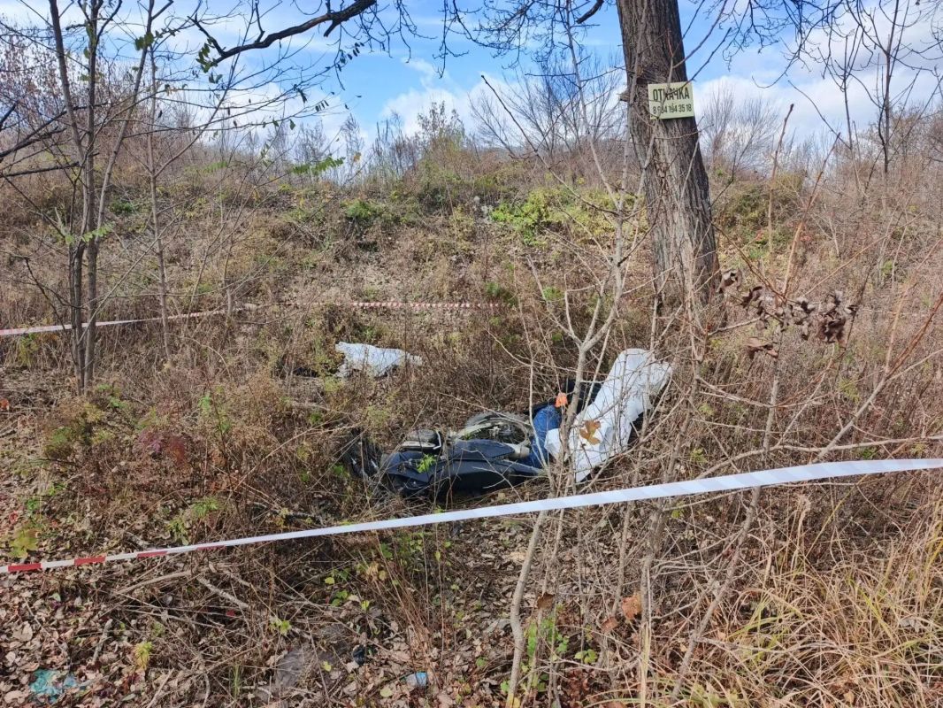 В Партизанске Приморского края в результате наезда на дерево погибли мотоциклист с пассажиром В Партизанске Приморского края в результате наезда на дерево погибли мотоциклист с пассажиром