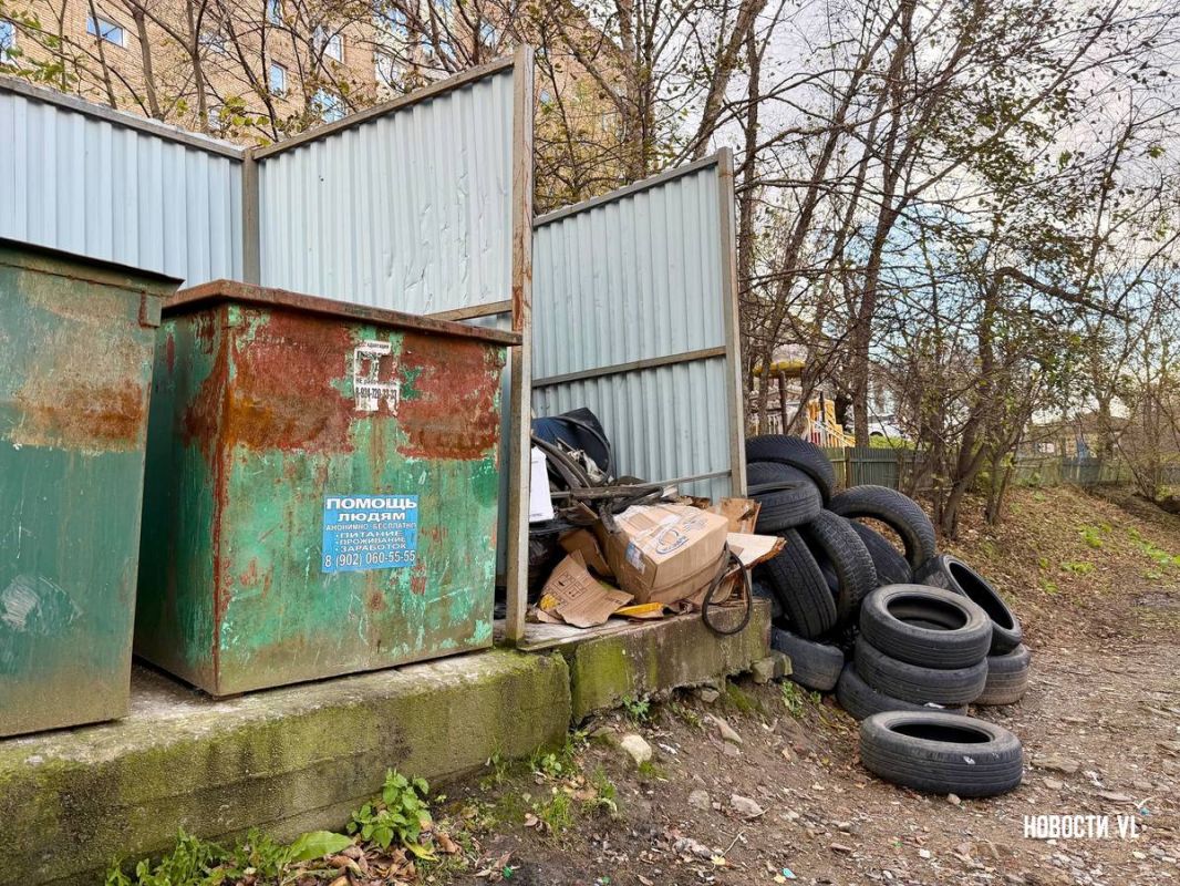 200 рублей за шину или выкинуть в лес: Владивосток снова завалили старыми покрышками в сезон смены резины 200 рублей за шину или выкинуть в лес: Владивосток снова завалили старыми покрышками в сезон смены резины
