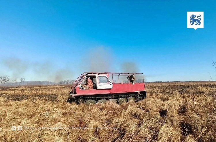 В Приморье за прошедшую неделю обнаружили 6 лесных пожаров