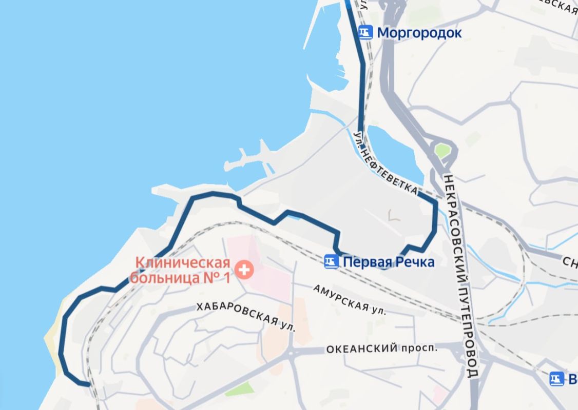 Объезд с препятствиями: во Владивостоке полностью заасфальтировали Нефтеветку, но остались ямы на переездах и участок с торчащими люками Объезд с препятствиями: во Владивостоке полностью заасфальтировали Нефтеветку, но остались ямы на переездах и участок с торчащими люками