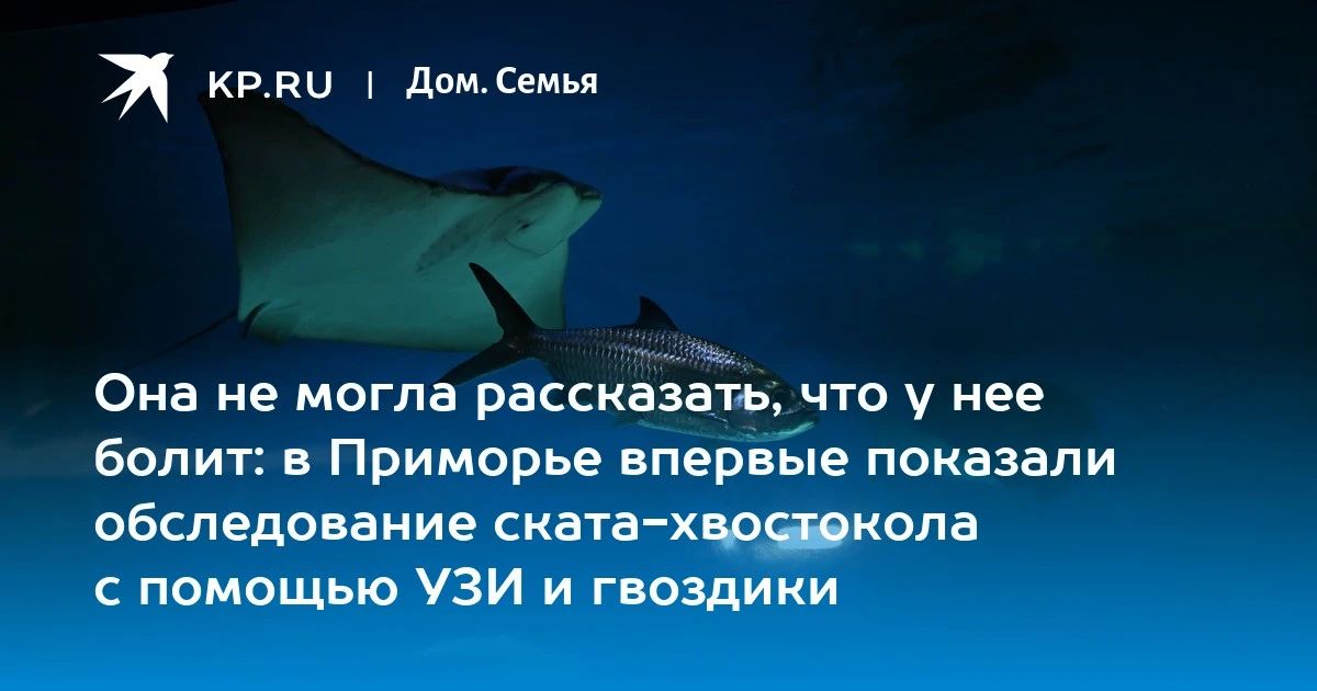 Уникальный случай в Приморье