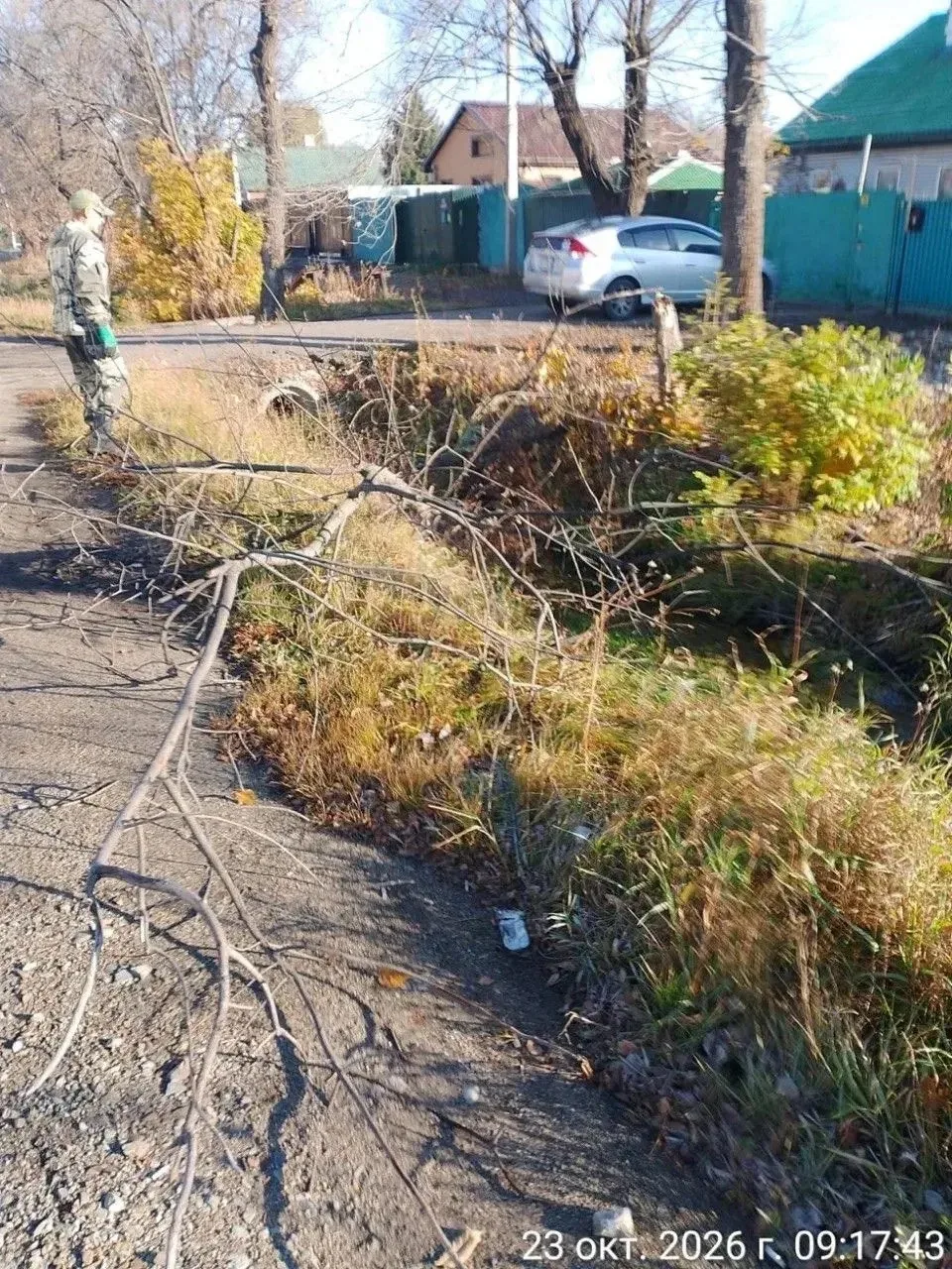 В Уссурийске продолжают уход за деревьями и клумбами