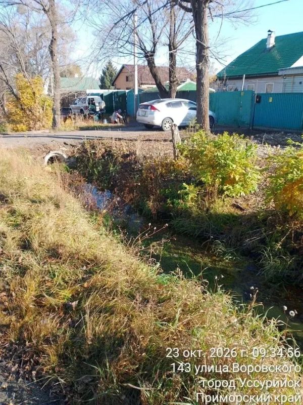 В Уссурийске продолжают уход за деревьями и клумбами В Уссурийске продолжают уход за деревьями и клумбами