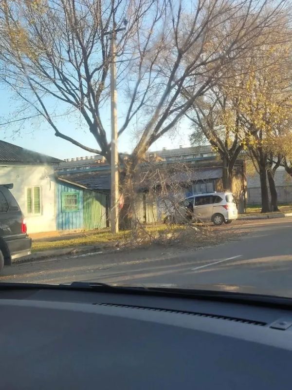 В Уссурийске продолжают уход за деревьями и клумбами В Уссурийске продолжают уход за деревьями и клумбами