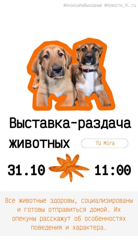 Анонсы событий во Владивостоке на выходные Анонсы событий во Владивостоке на выходные