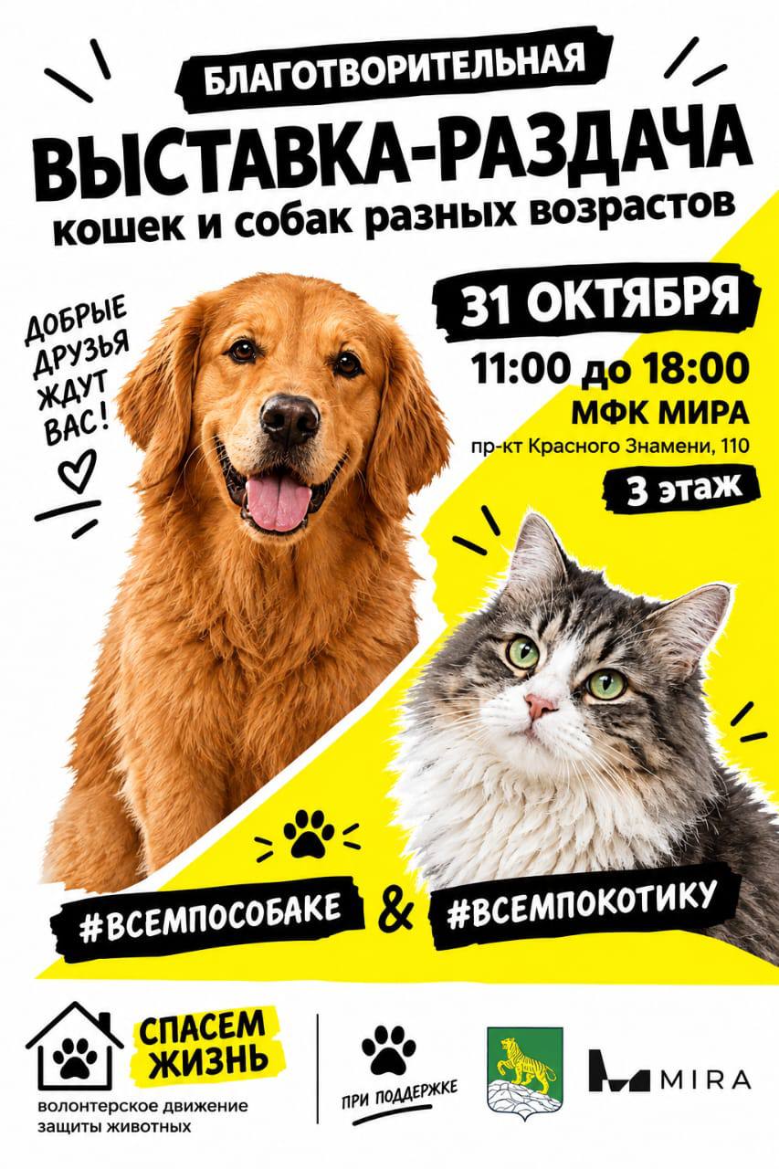 Уже в эту субботу в МФК «МИРА» пройдет благотворительная выставка-раздача животных