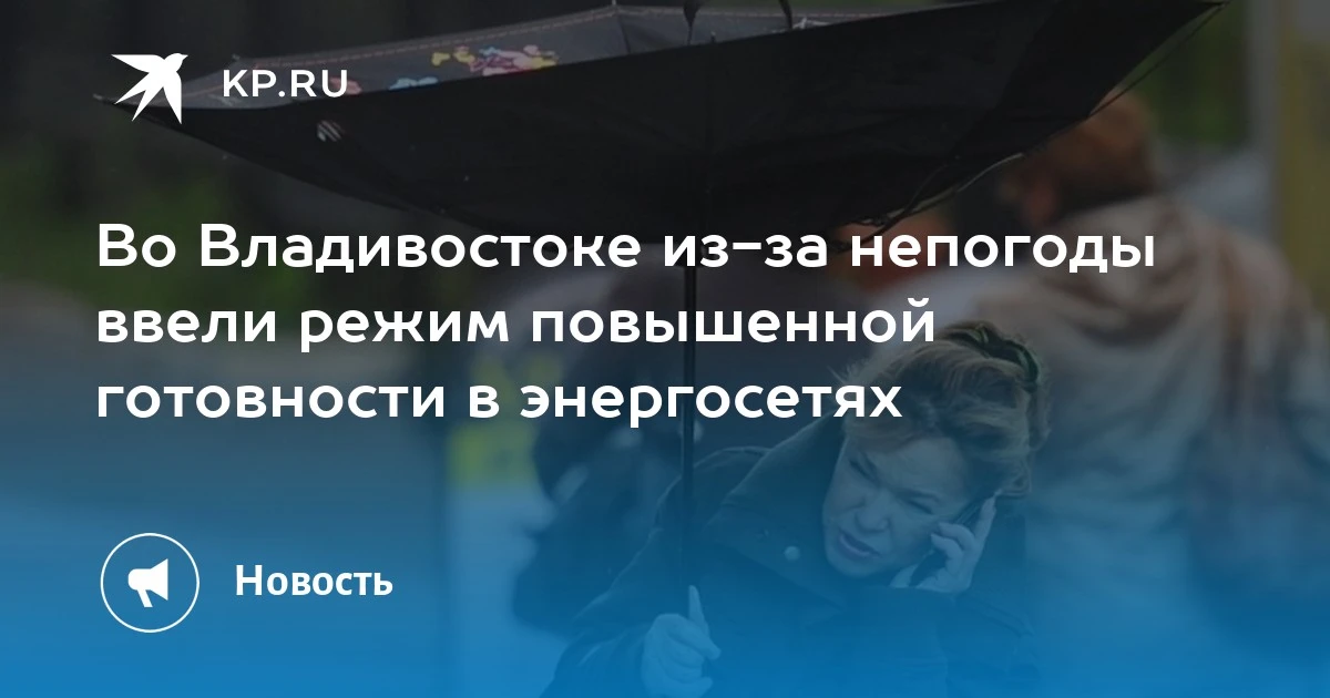 В Владивостоке введен режим повышенной готовности в энергосетях