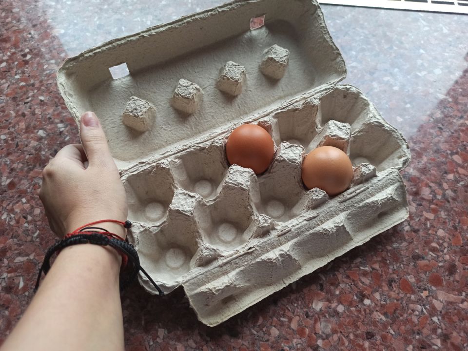 Как лоток для яиц может спасти вашу прихожую от грязи