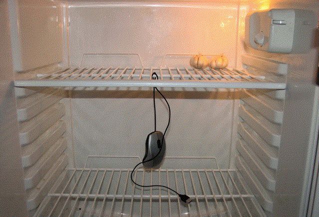 Как сохранить чистоту холодильника в жару: советы экспертов