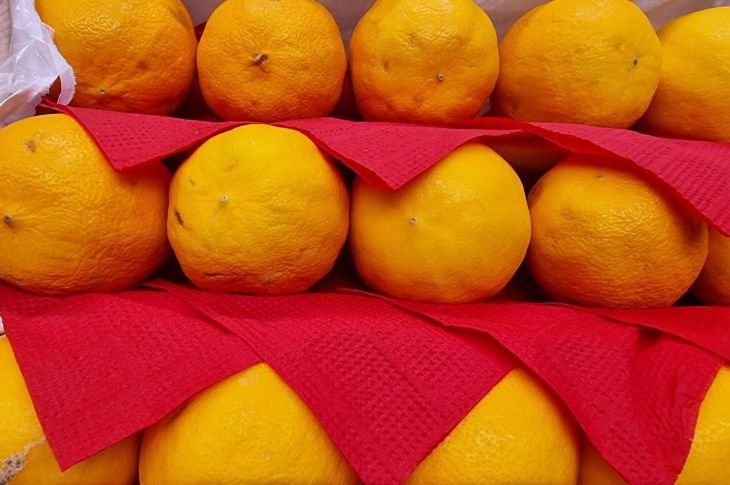 Потрите духовку этим фруктом: от заскорузлого жира не останется следа