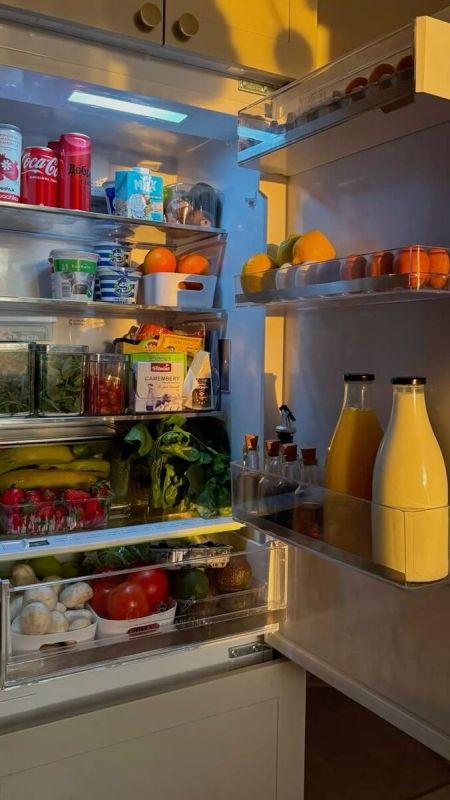 Как избежать финансовых потерь, оставляя еду в холодильнике