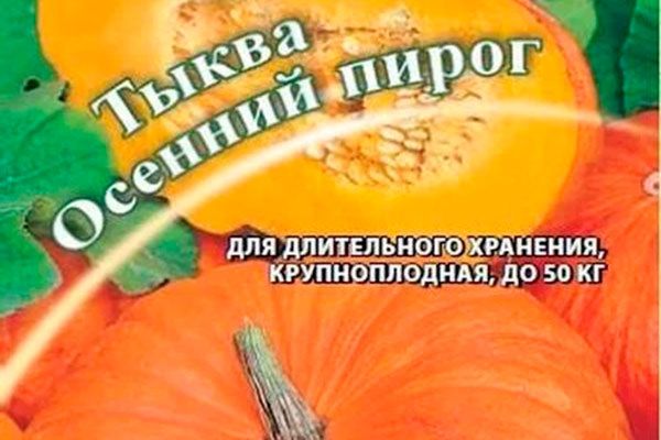 Тыква Осенний пирог: секреты зрелости и вкуса