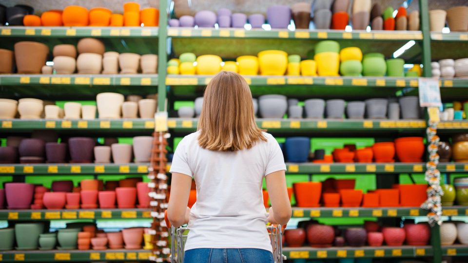 Подберете цветочный горшок для любого комнатного растения: запоминайте простые правила