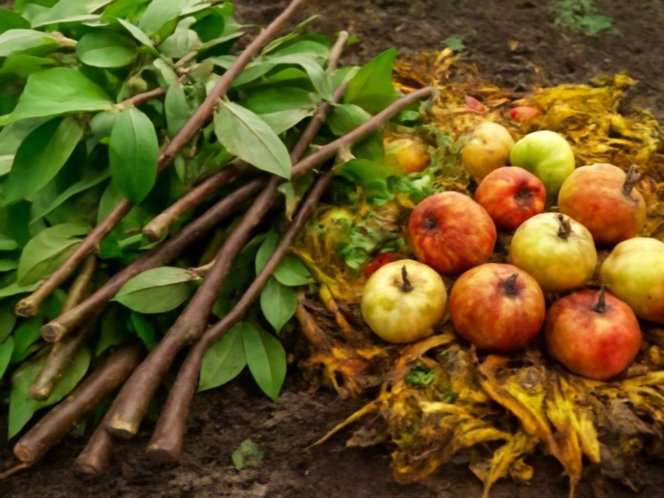 ������� �������� ������� ��������� �������� ��� �������� ������