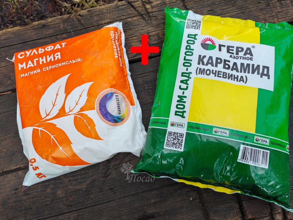 Весенние секреты: как азот и магний помогут вашему саду зацвести