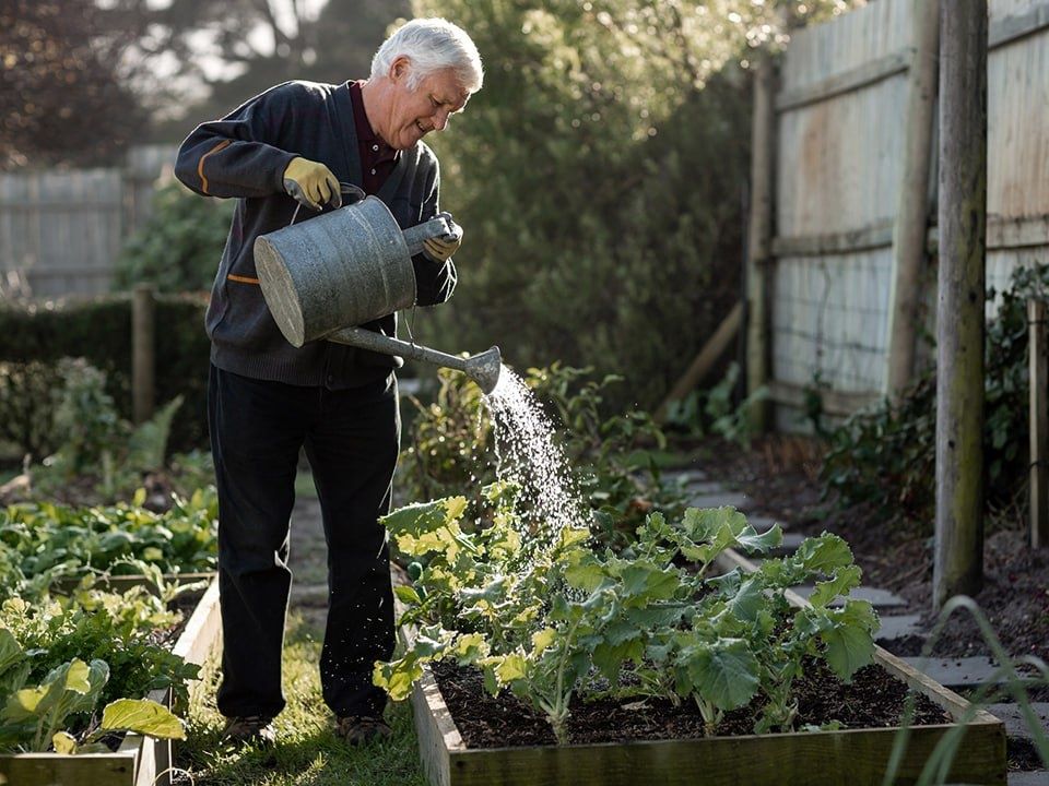 ��� �������� ��������� ����� �� ������: ������ ������ �������