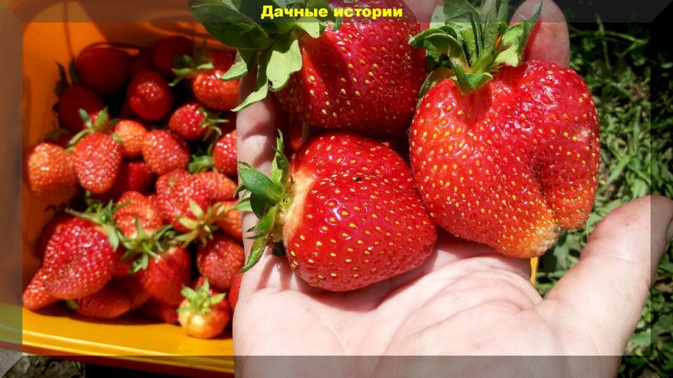 ������������� � ������� ������� ��������