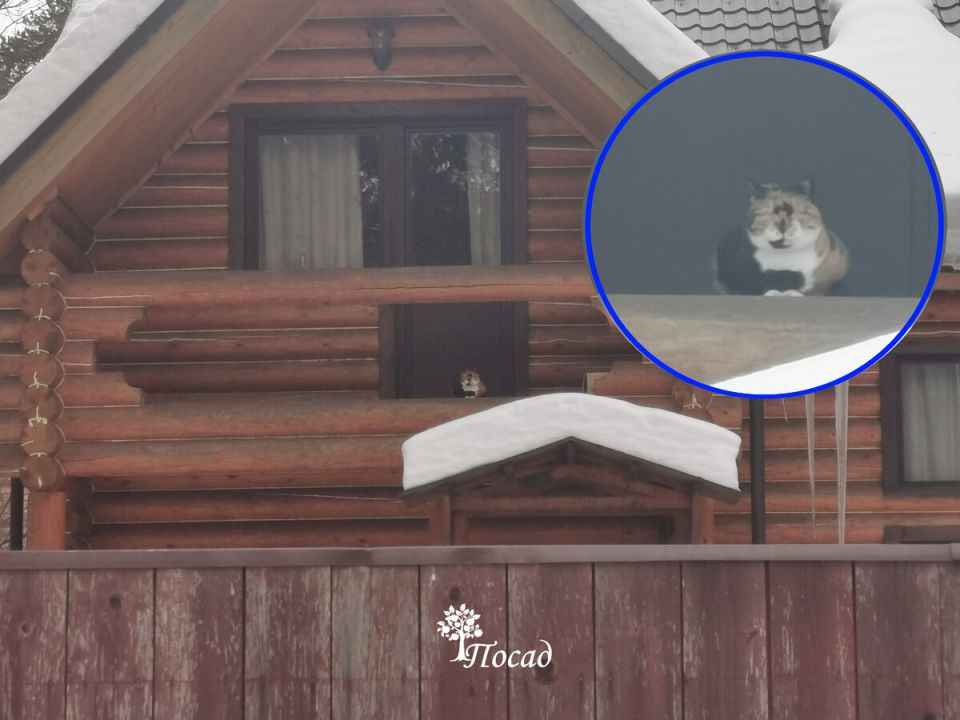 ���������� ��������� ������� �������: ������ ����� ���� � ���������� ���� �������� ������?